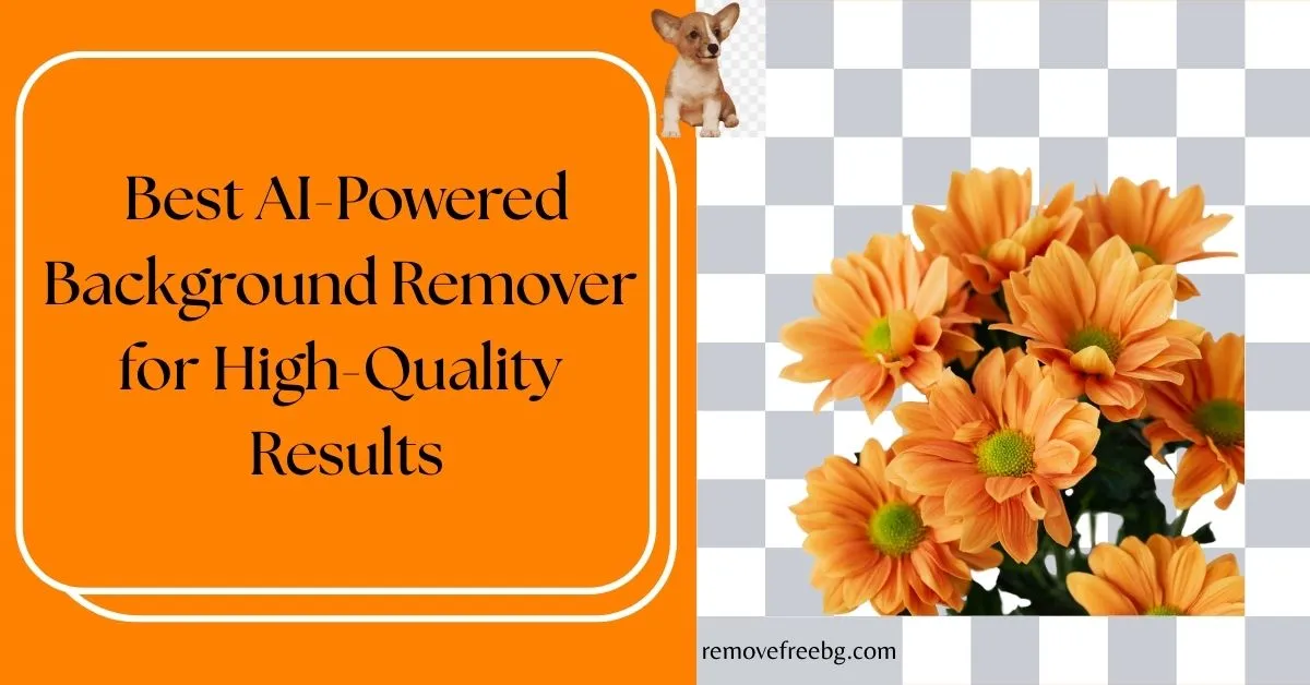 Best AI-Powered Background Remover for High-Quality Results Feature Image