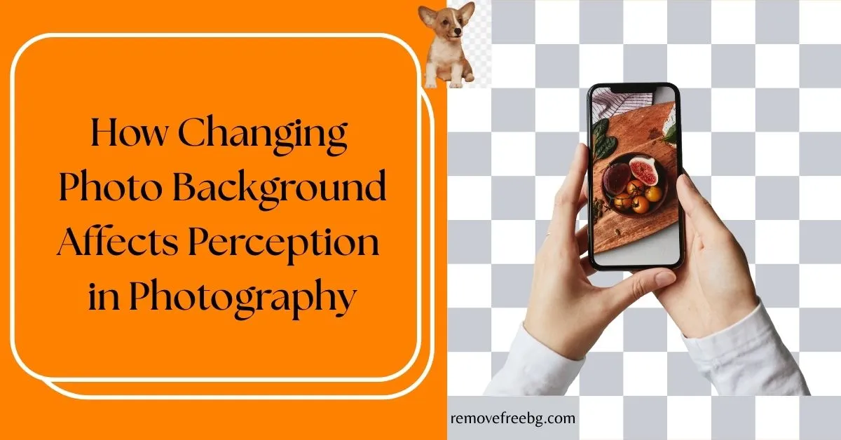 How Changing Photo Background Affects Perception in Photography Feature Image