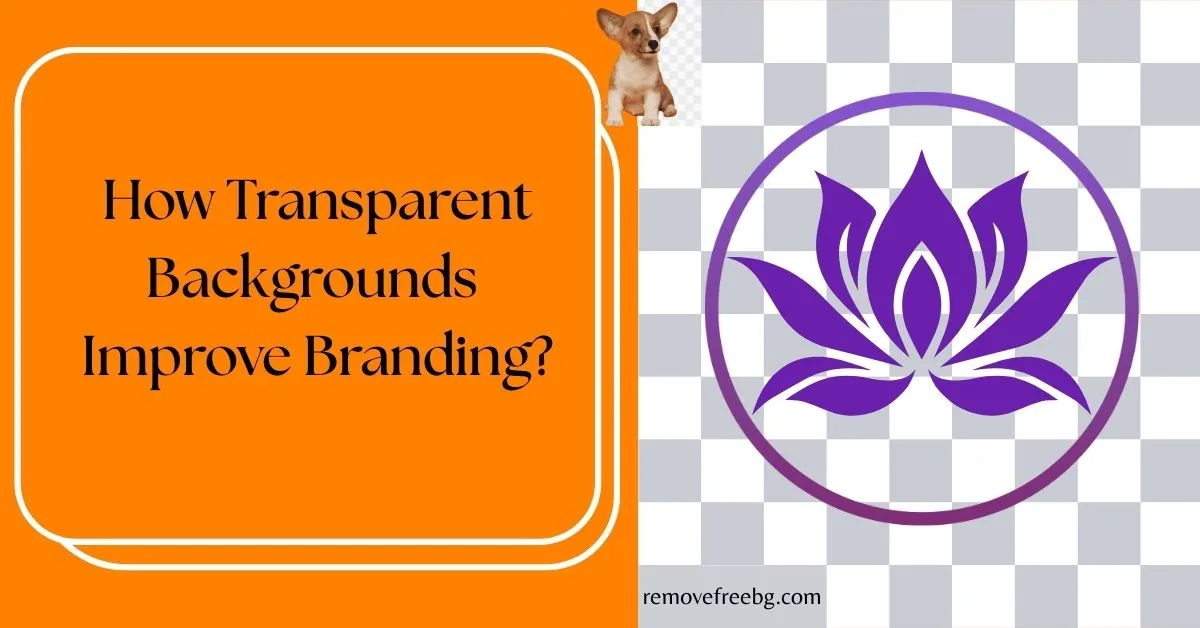 How Transparent Backgrounds Improve Branding Feature Image