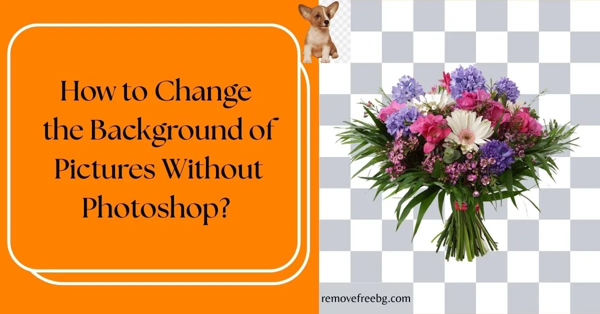 How-to-Change-the-Background-of-Pictures-Without-Photoshop-Feature-Image