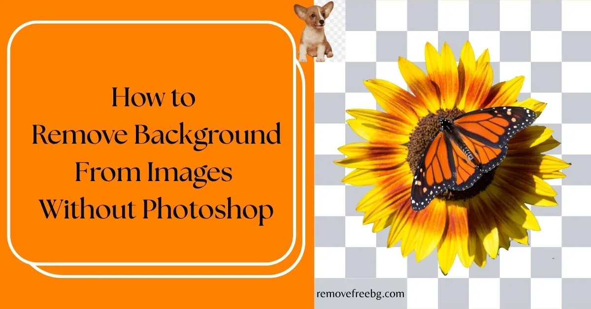 How-to-Remove-Background-From-Images-Without-Photoshop-Feature-Image