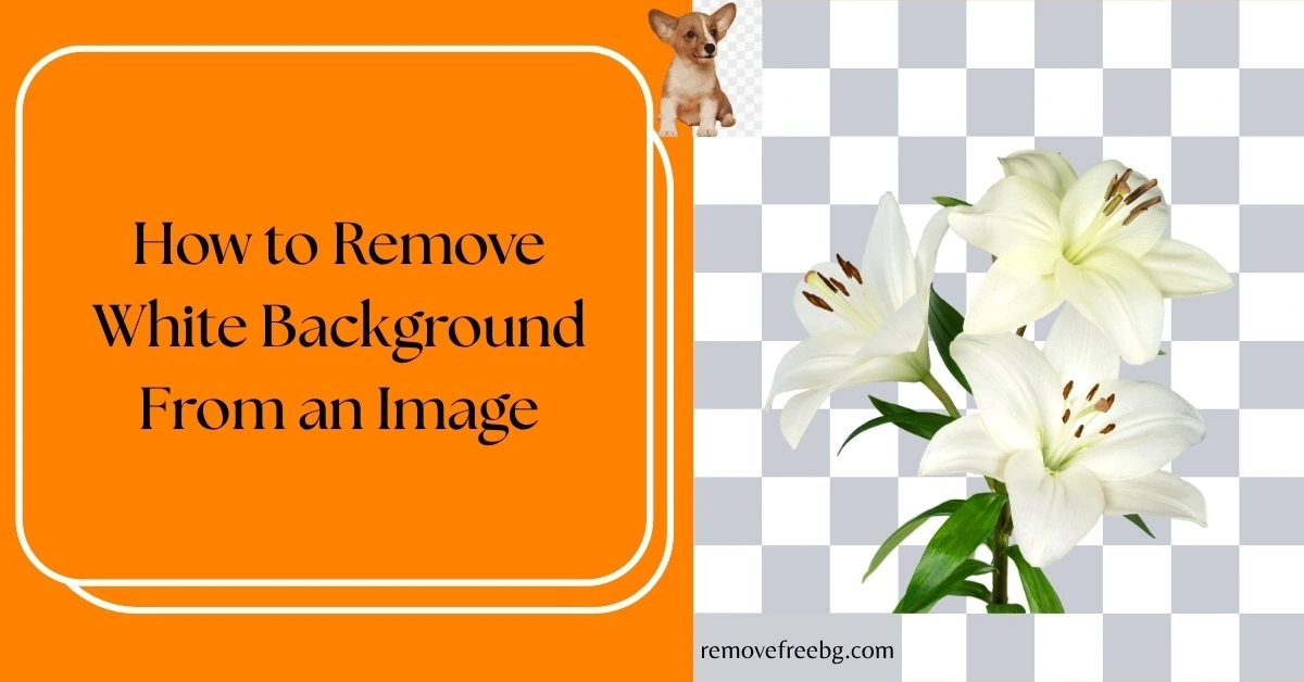 How-to-Remove-White-Background-From-an-Image-Feature-Image