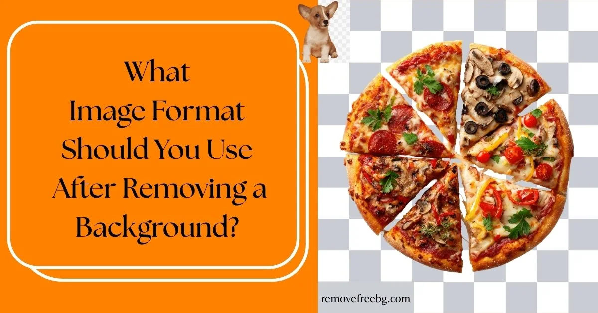 What-Image-Format-Should-You-Use-After-Removing-Background-Feature-Image